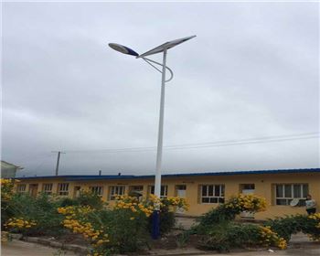 農(nóng)村太陽能路燈-甘肅定西渭源縣太陽能路燈項目