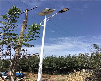 陜西西安藍(lán)田縣竹峪鎮(zhèn)新農(nóng)村太陽能路燈